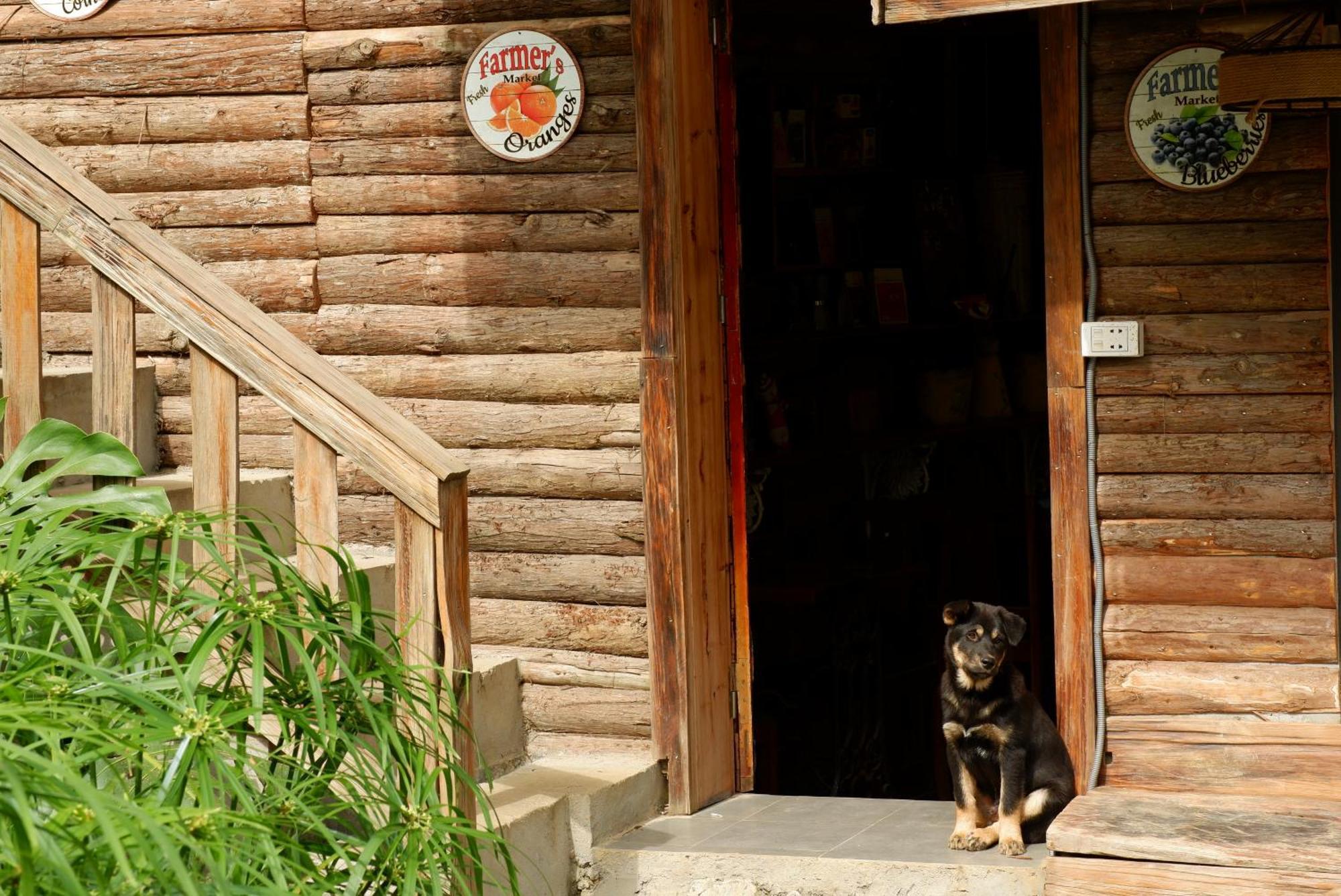 Ta Phin Cottage Шапа Экстерьер фото